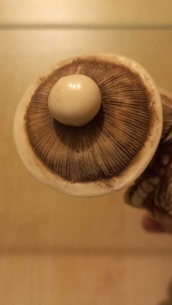 Vintage carved resin figurines