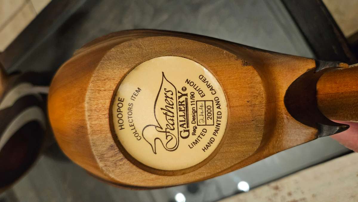 Feathers of Knysna Hoopoe set no.1239 & no. 244