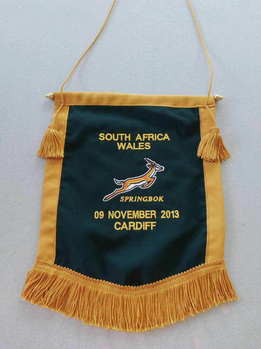 South Africa vs Wales 09.11.2013