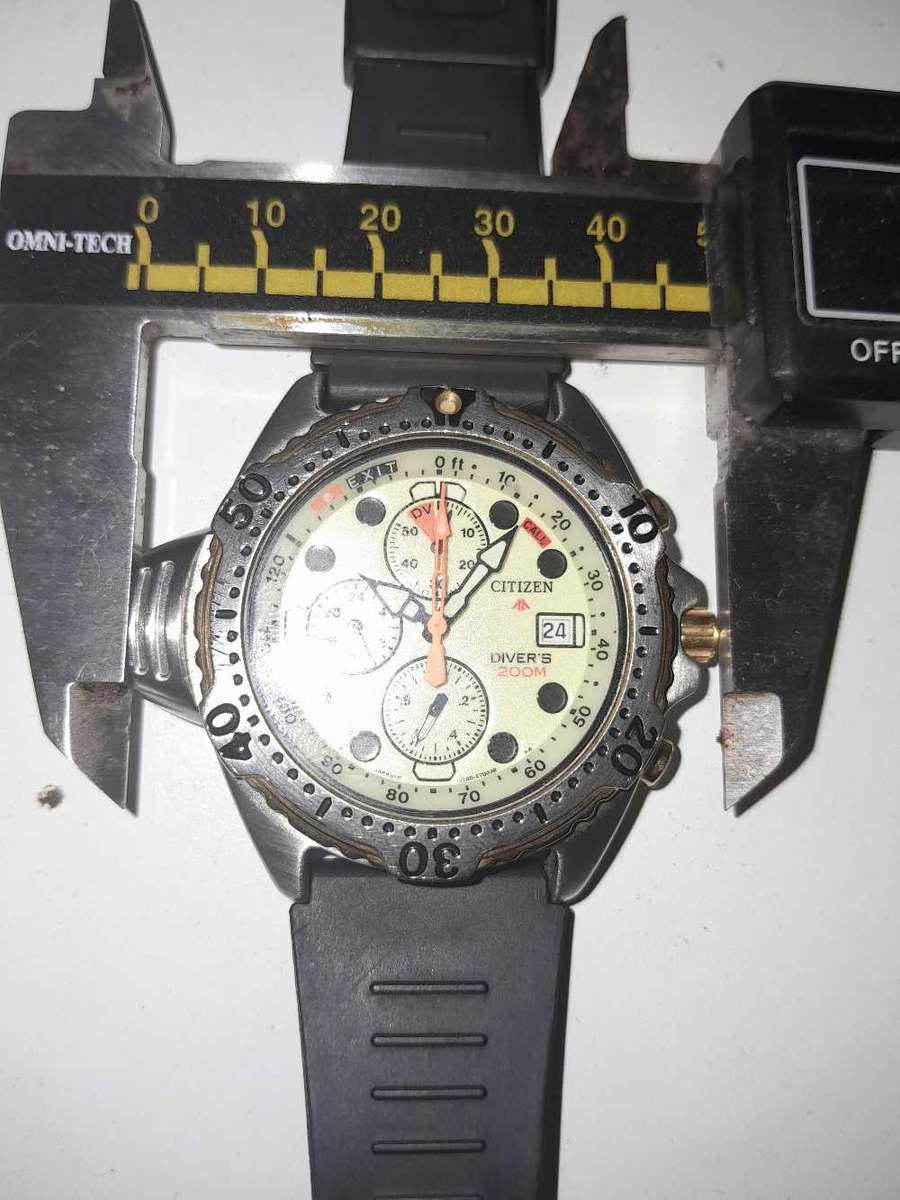 Citizen Promaster drivers watch