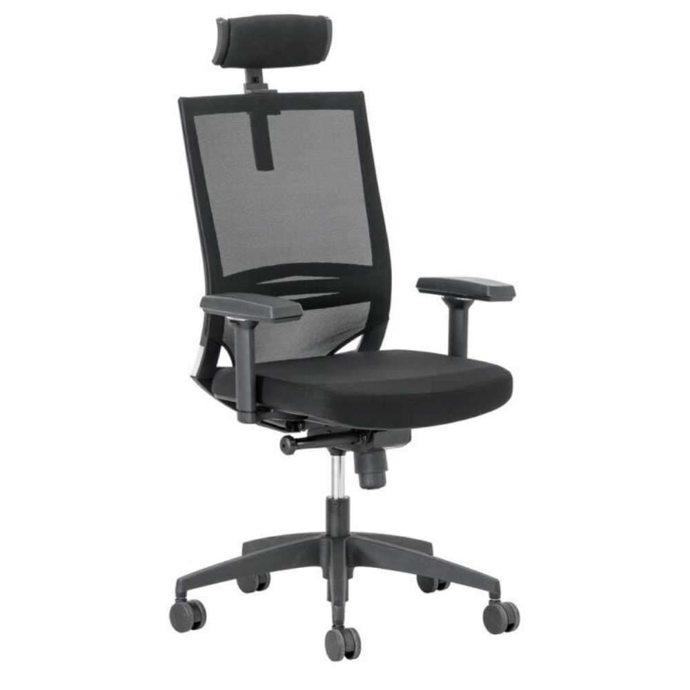 With 3D adjustable Armrests. DHL high back office chair