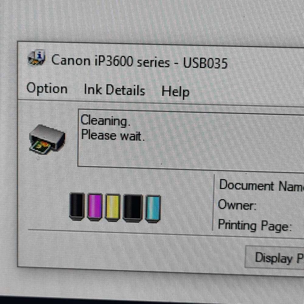 Canon ip3600 printer