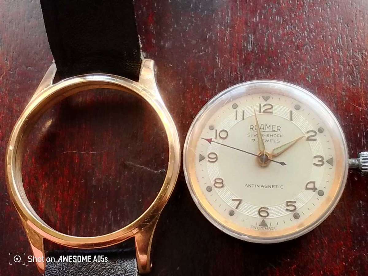 Roamer Brevetè manual