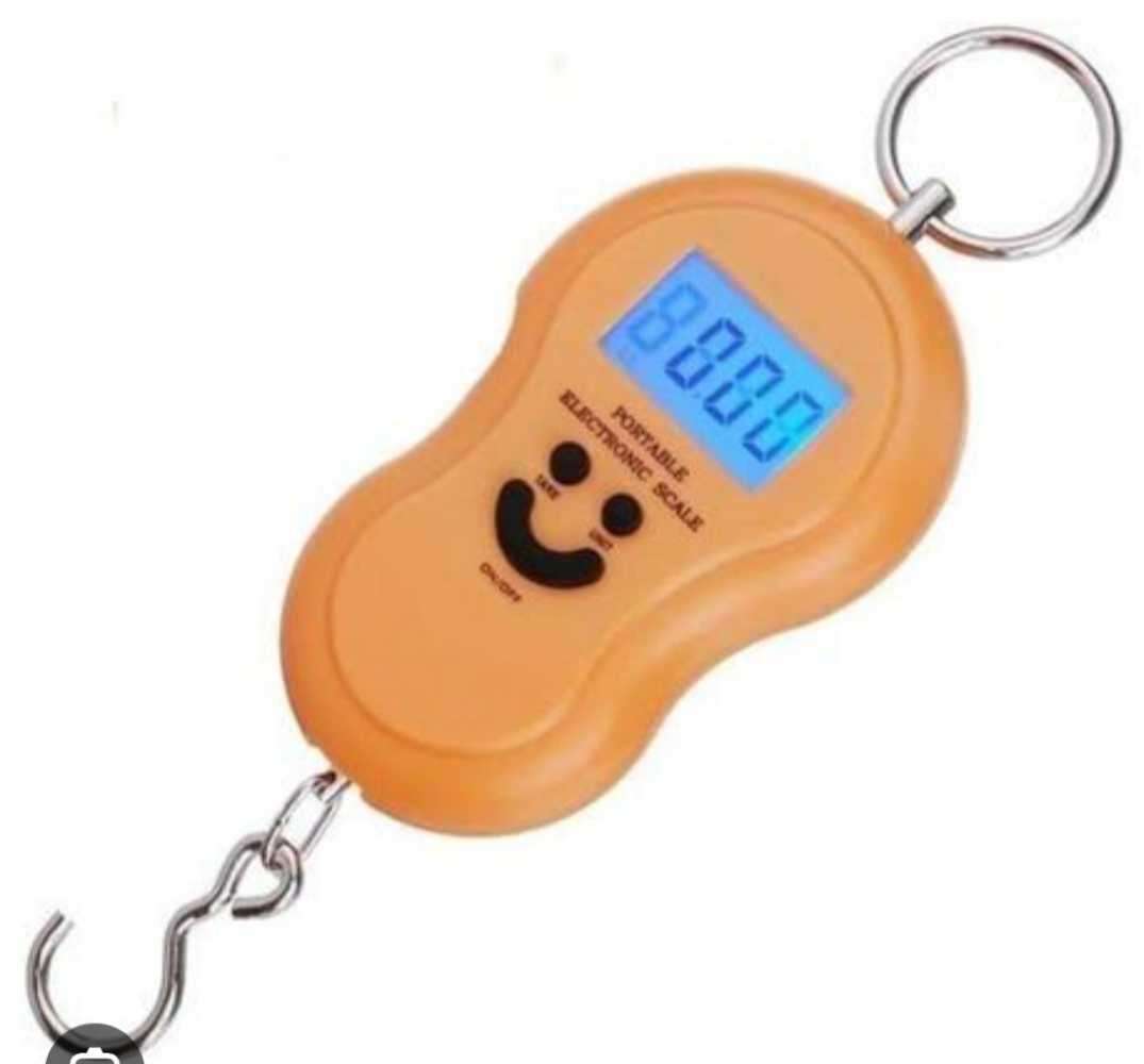50kg portable scale