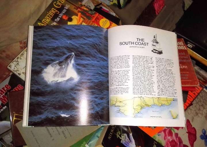 THE COAST OF SOUTHERN AFRICA