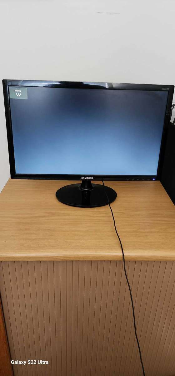 22 Samsung Business Monitor S22D300HY