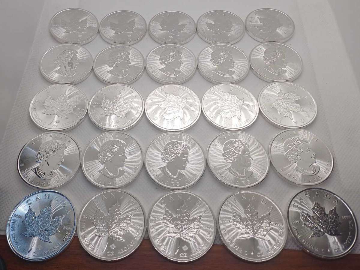25x2021 1oz Canada 2Dollar Pure Silver Coin .9999 ag Bid Per Coin
