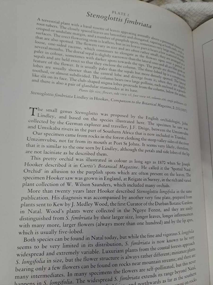 ORCHIDS OF AFRICA. By J Stewart & E Hennessy