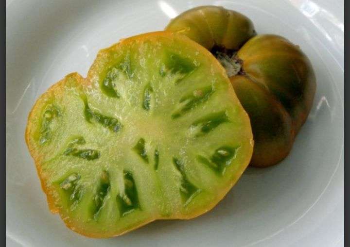 Aunt ruby tomato seeds