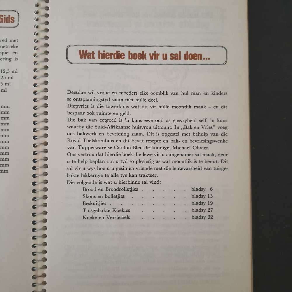 Tupperware bak en vries ,bake n freeze book in English and afrikaans