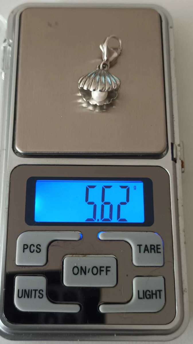 GORGEOUS 925 STERLING SILVER TI SENTO MILANO CHARM 5.62g