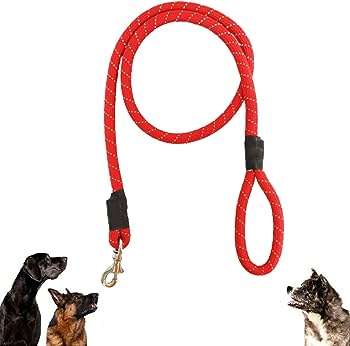 Pet leash