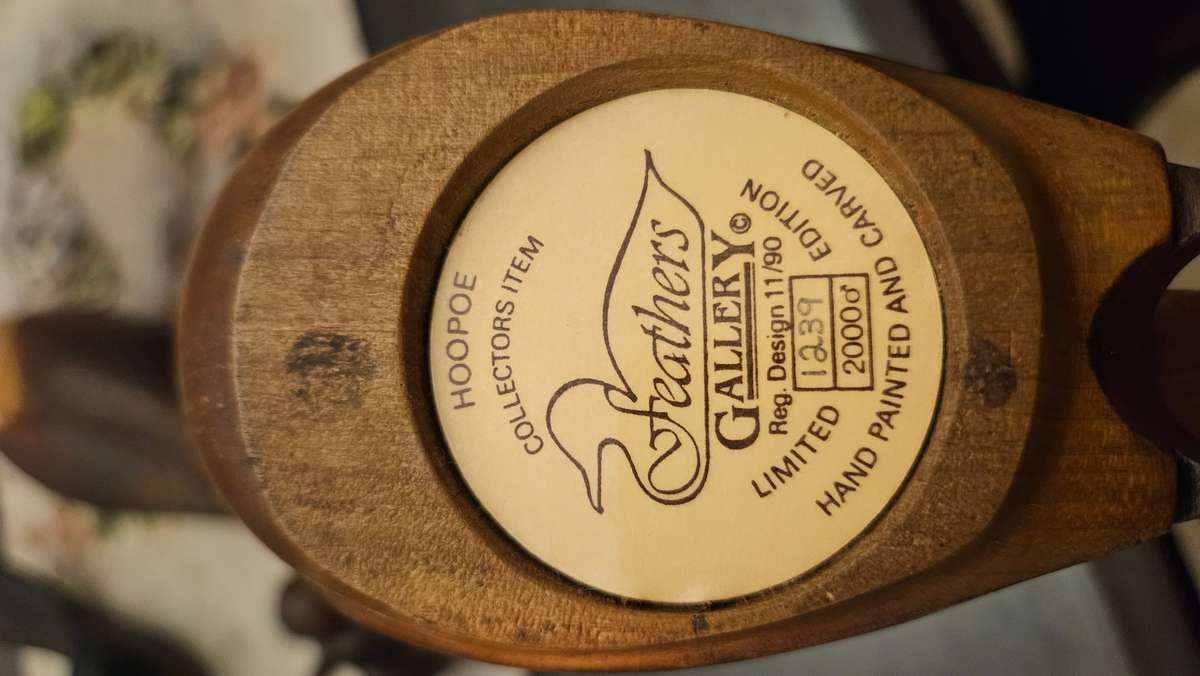 Feathers of Knysna Hoopoe set no.1239 & no. 244