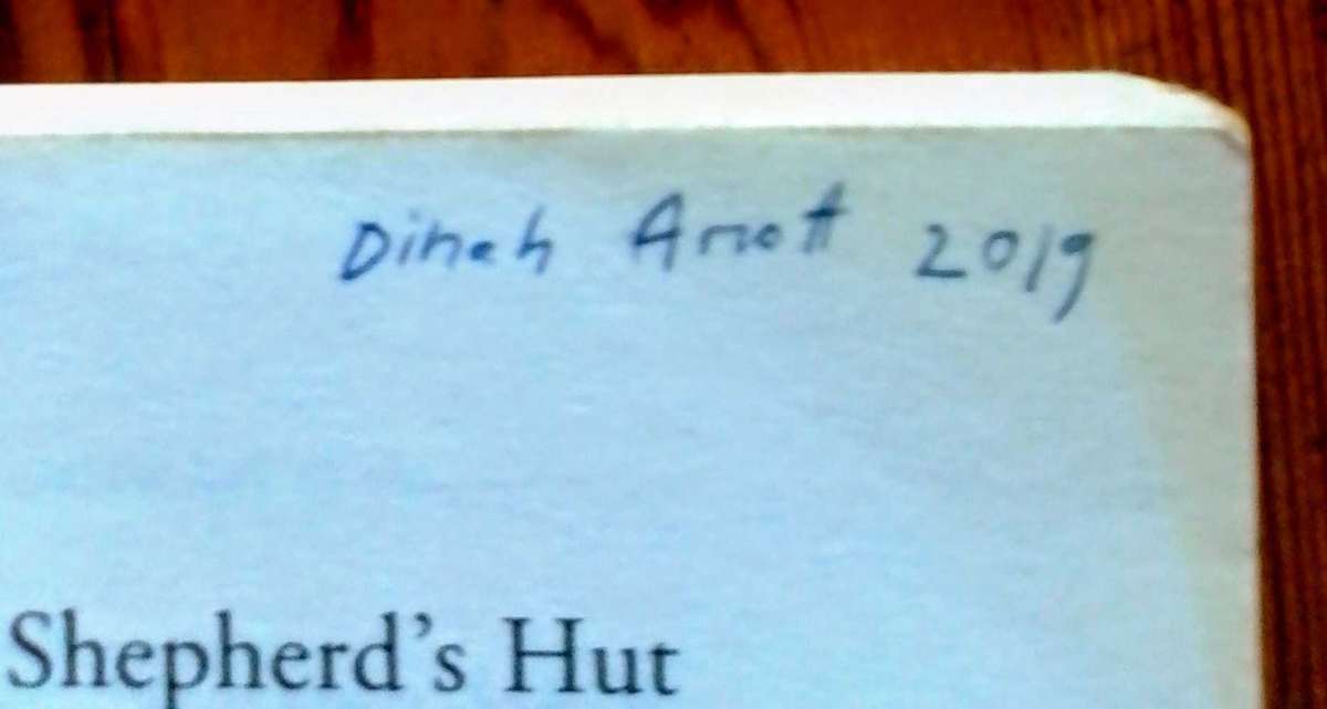 The Shepherd's Hut by Tim Winton