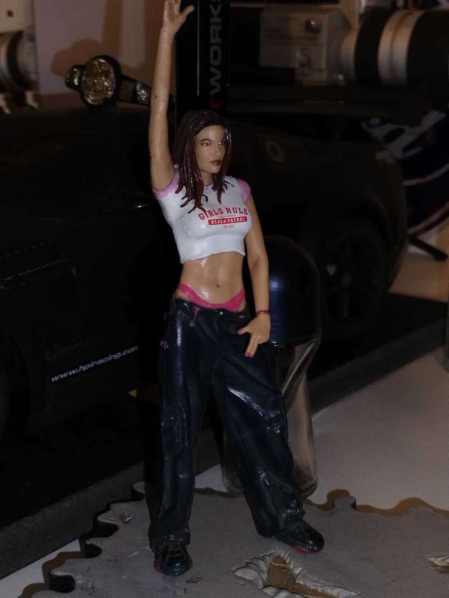 Various WWF Vintage Characters