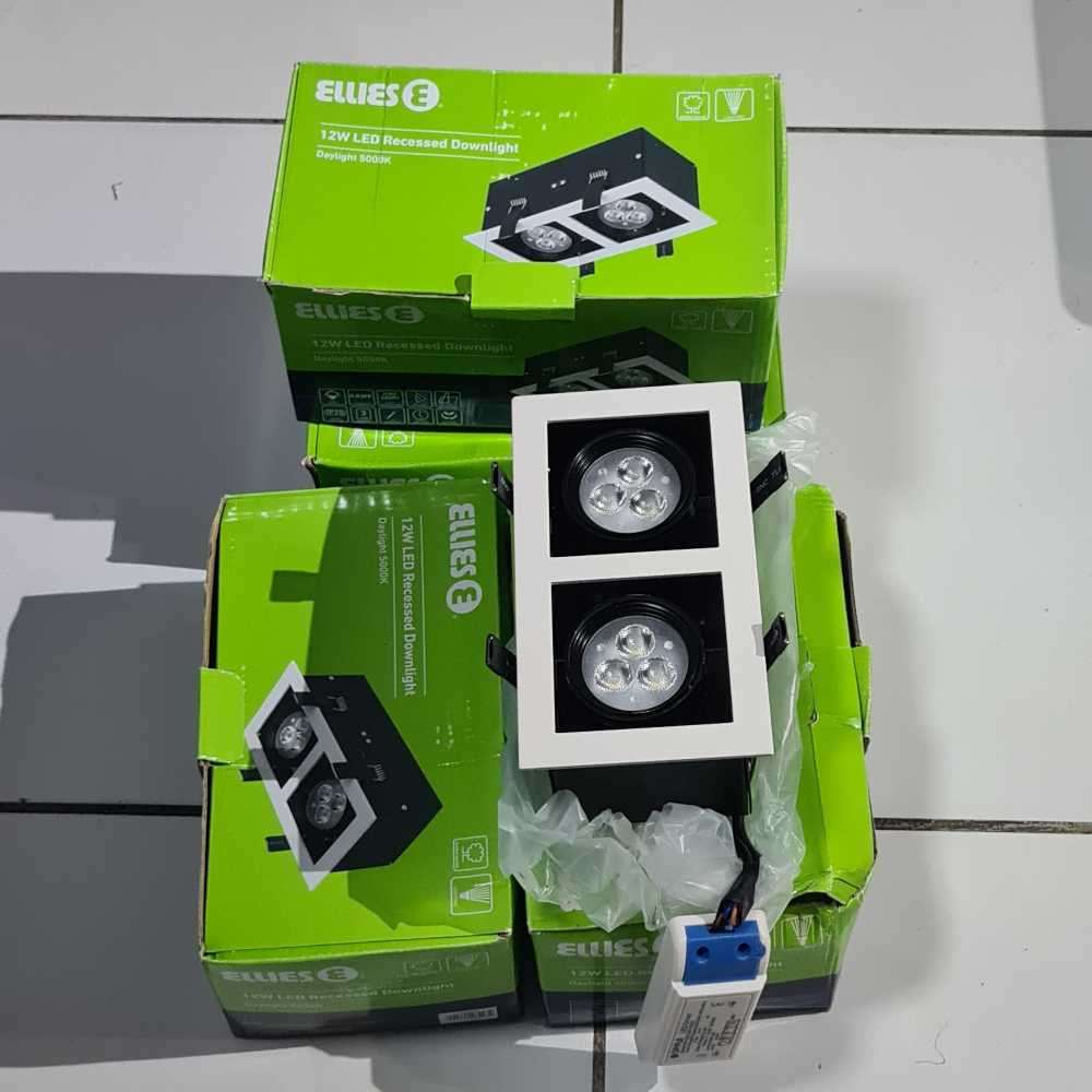 Ellies Downlights with holders