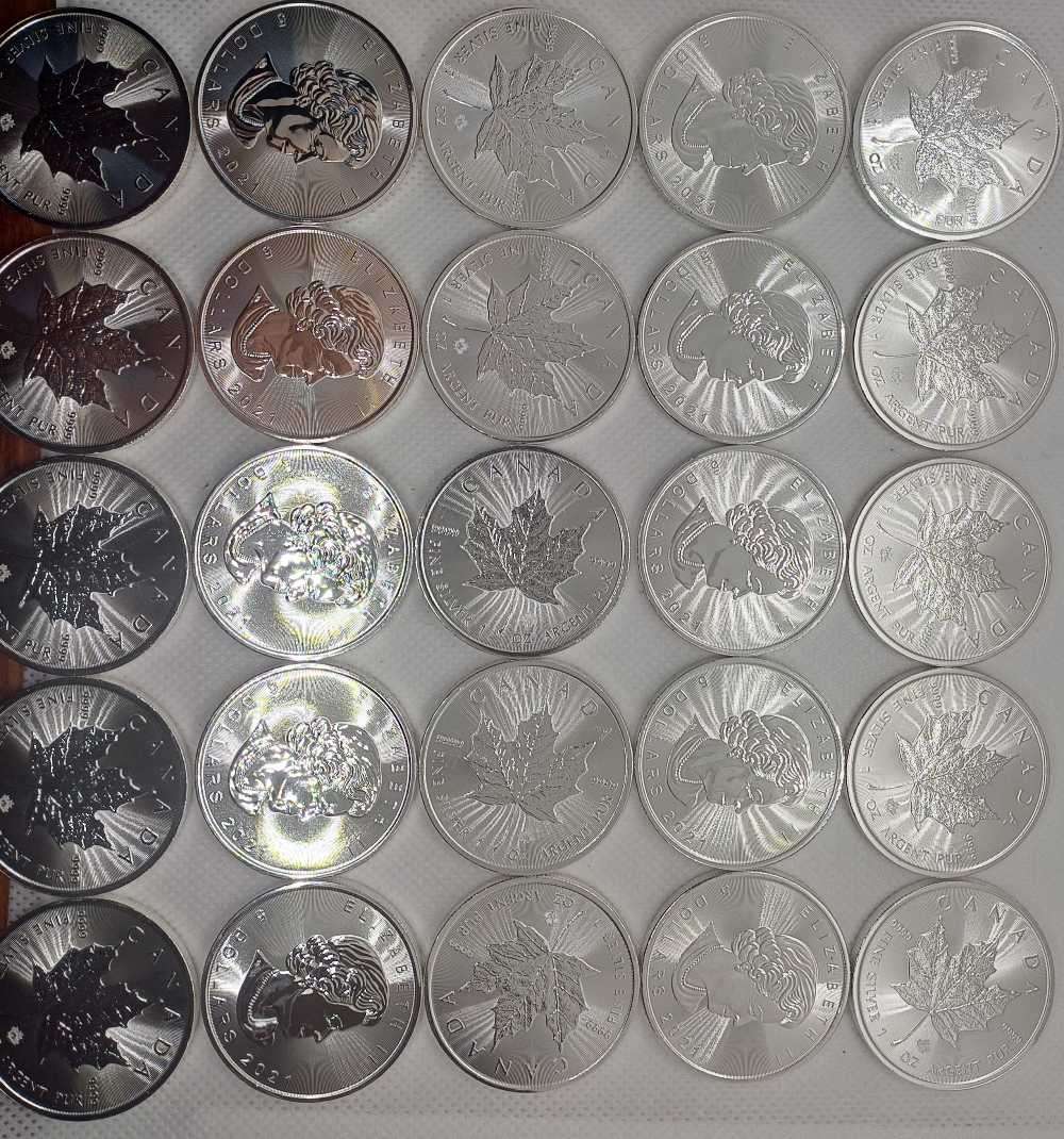 25x2021 1oz Canada 2Dollar Pure Silver Coin .9999 ag Bid Per Coin