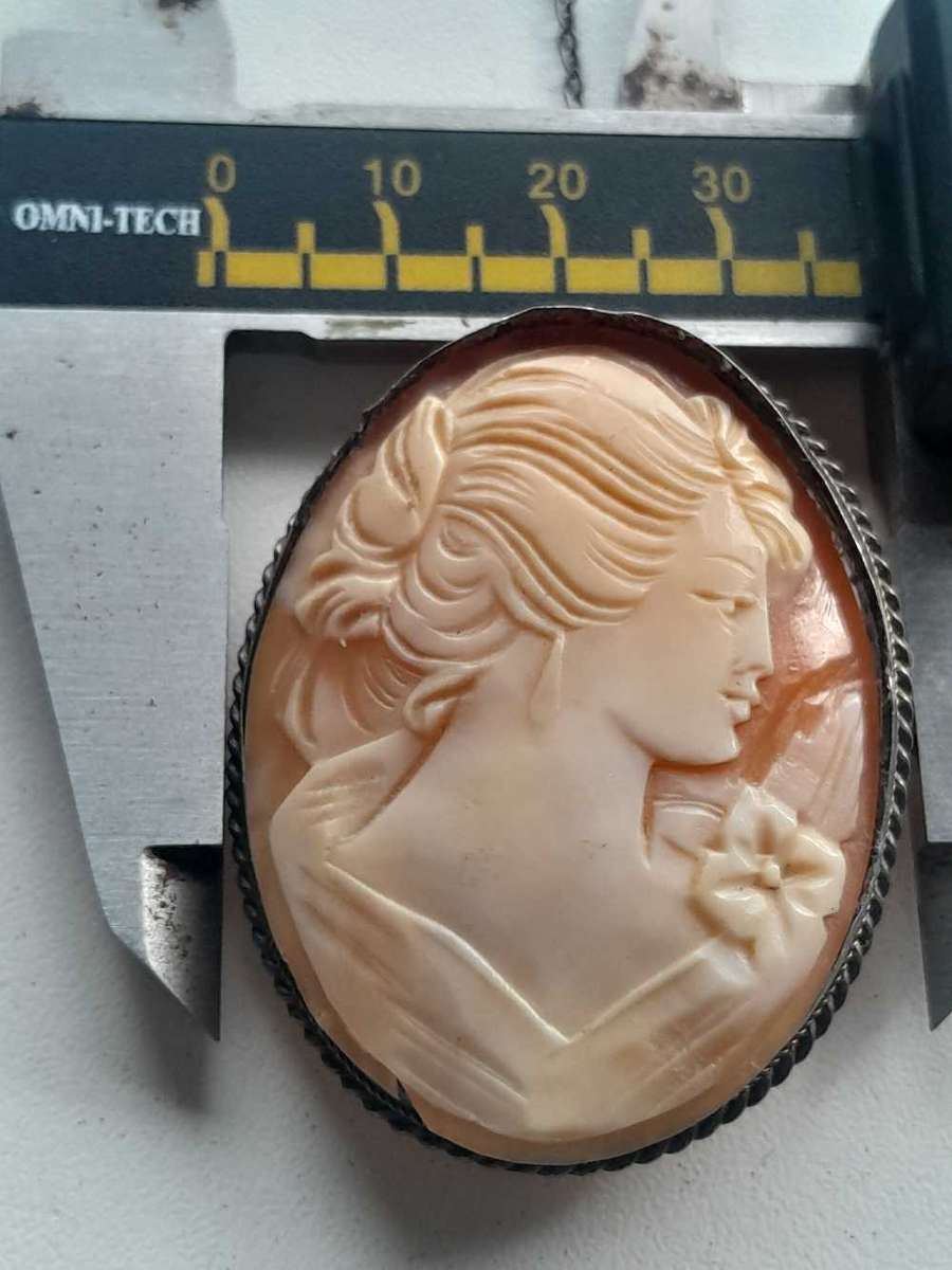 Beautifull vinatge Camoe in 925 Silvier