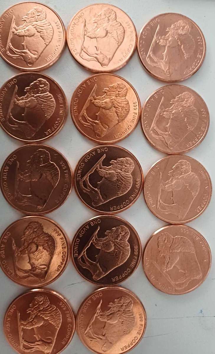 14x 1oz Copper American Indian Head and Bull coin bid per coin