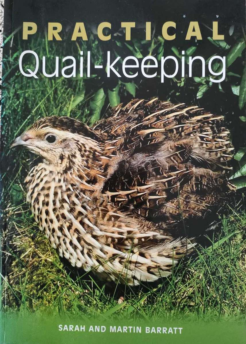 Practical Quailkeeping