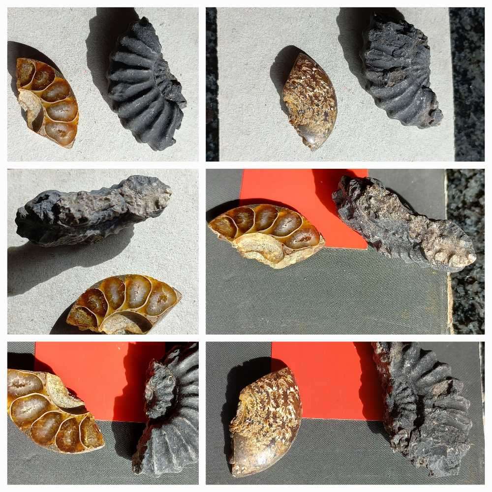 Tektite meteorite, Volcanic stones/beads, Fossils, Indian arrow point