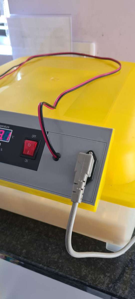 56 Egg Incubator + 12 Volt (Poultry business)