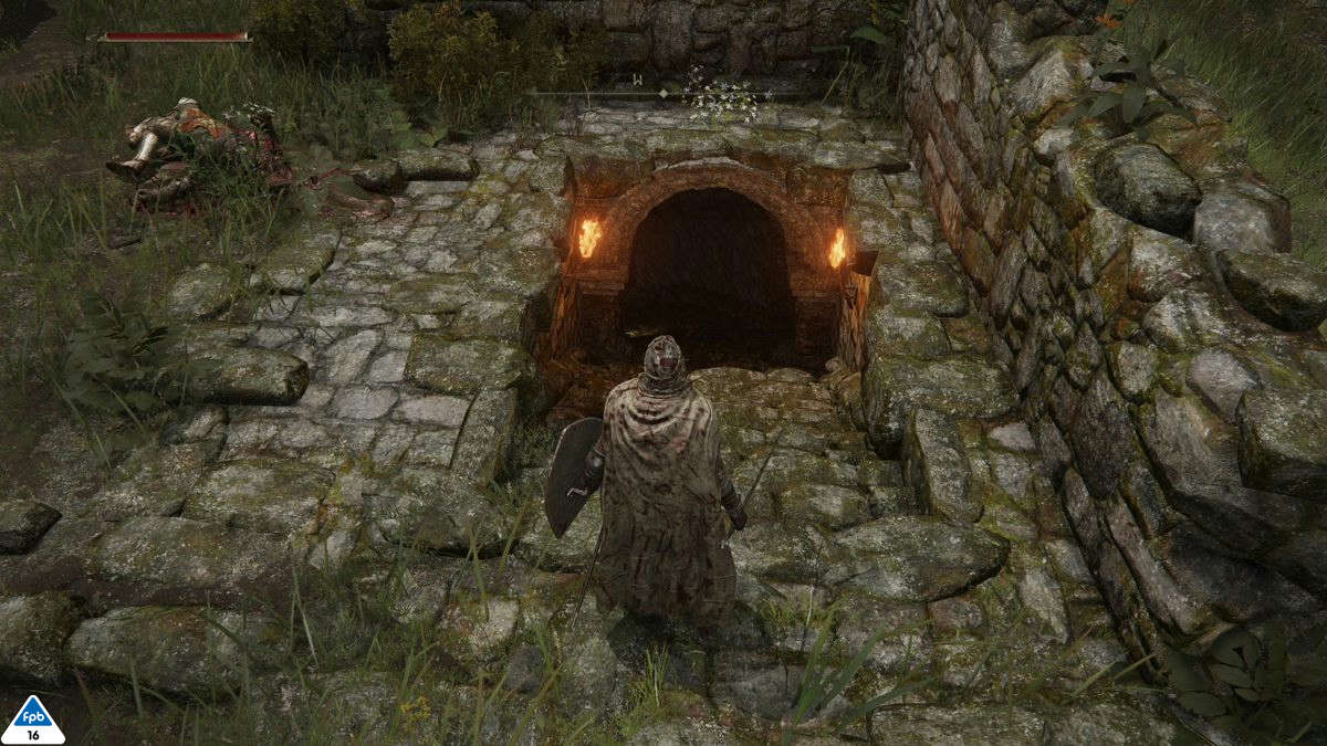 Elden Ring Shadow of the Erdtree Edition (PlayStation 5)