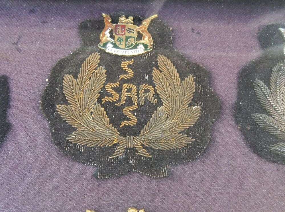 S A R / S A S - SOUTH AFRICAN RAILWAYS STATION MASTER BADGE AND BUTTON COLLECTION FRAMED LONG AGO