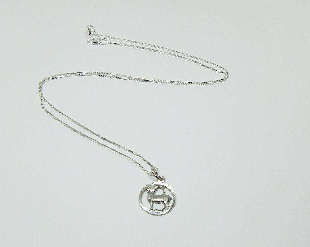 A vintage German silver Capricorn Zodiac sign pendant with a sterling silver necklace