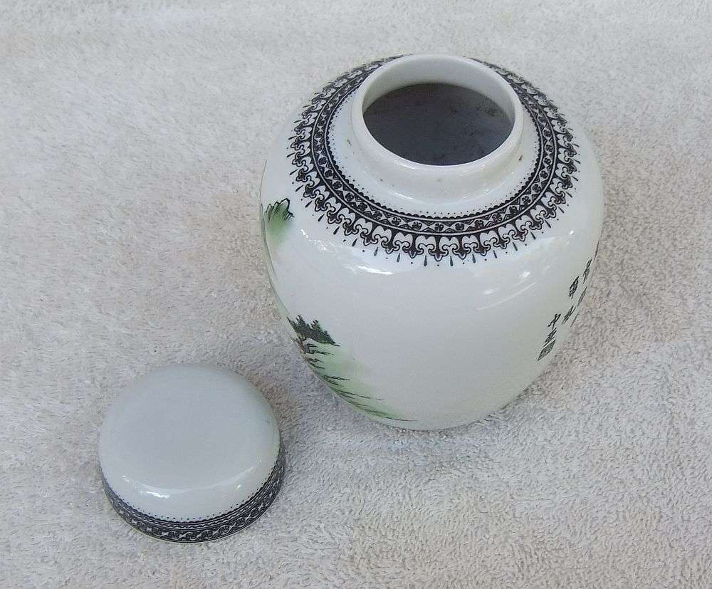 Vintage Chinese Porcelain Ginger Jar with Detailed Design
