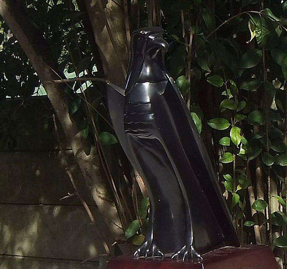 Solid Bronze Eagle on Wooden Plinth Sculpture by Jean Doyle