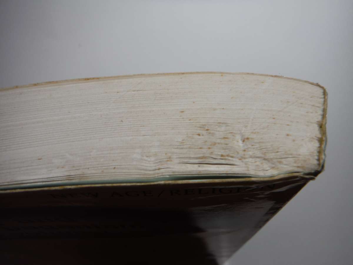 The Everything Paganism Book - Softcover - Selene Silverwind