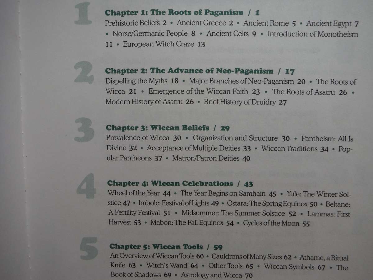 The Everything Paganism Book - Softcover - Selene Silverwind