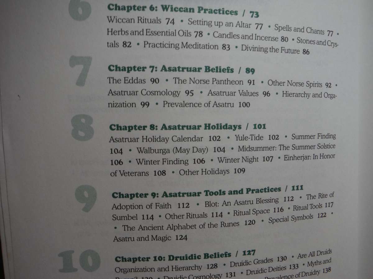 The Everything Paganism Book - Softcover - Selene Silverwind