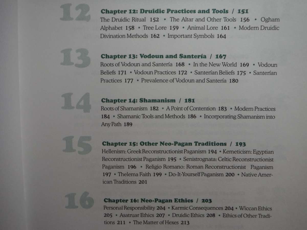 The Everything Paganism Book - Softcover - Selene Silverwind