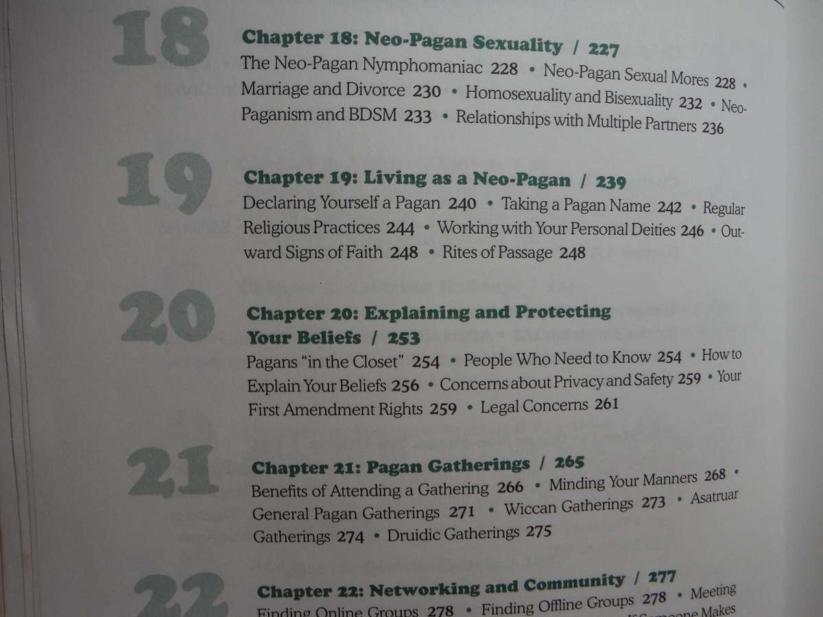 The Everything Paganism Book - Softcover - Selene Silverwind