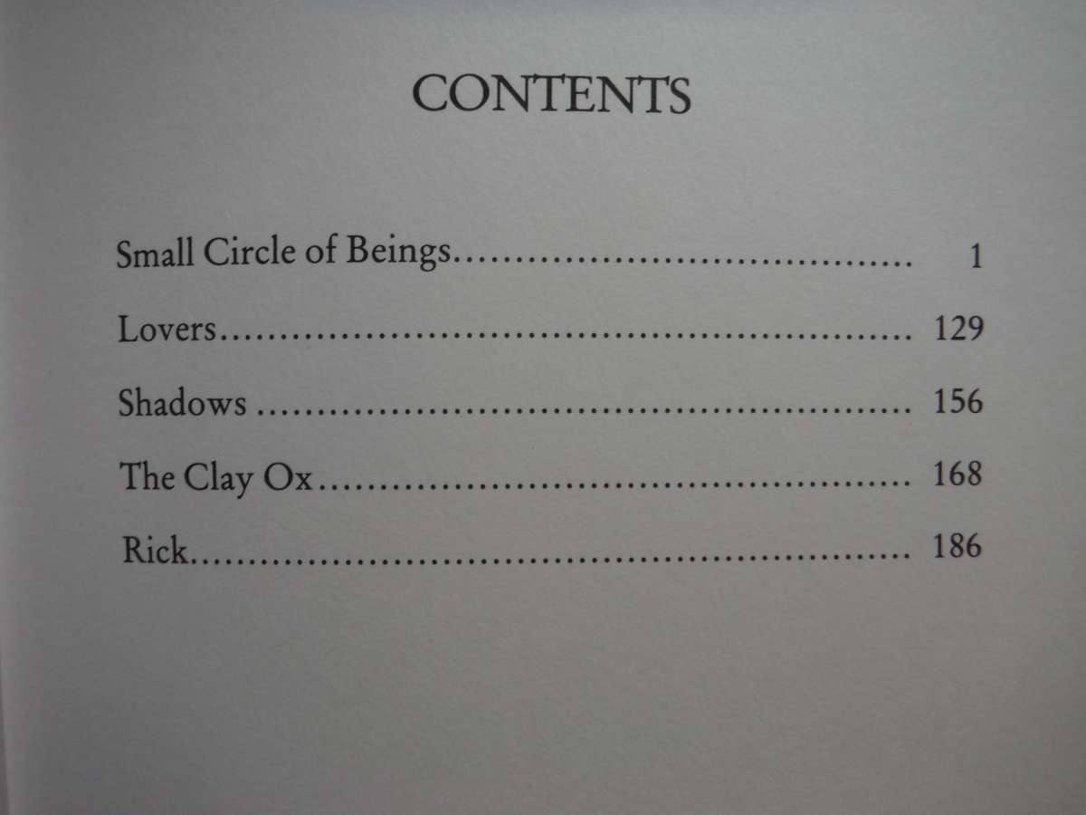 Small Circle of Beings - Hardcover - Damon Galgut - 1988