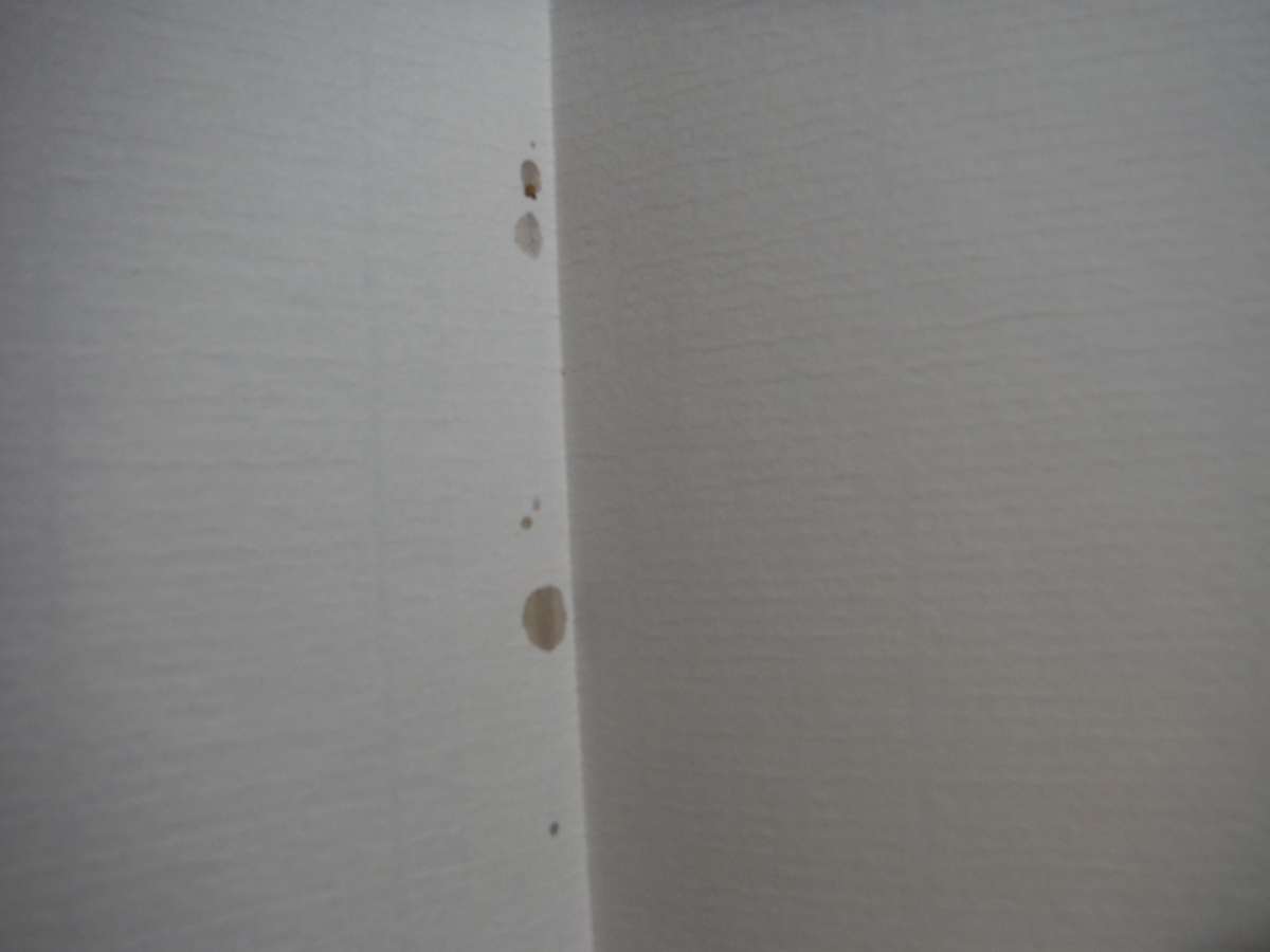 Indian Delights - Hardcover - Zuleikha Mayat