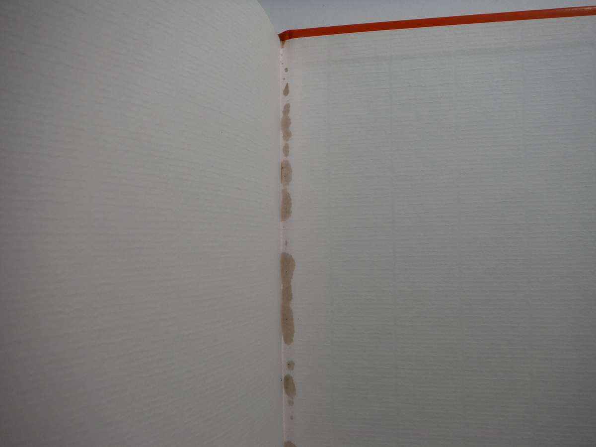 Indian Delights - Hardcover - Zuleikha Mayat