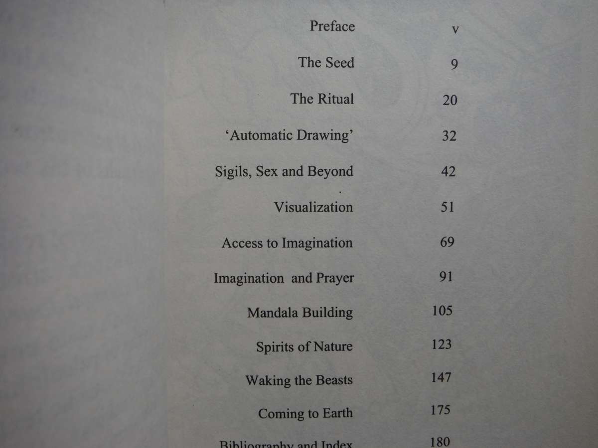 Visual Magick : A Manual of Freestyle Shamanism - Paperback - Jan Fries