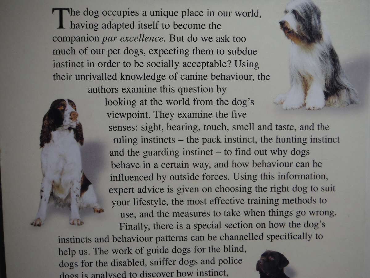 Reading the Dog's Mind : Training by Understanding - Paperback - John and Mary Holmes