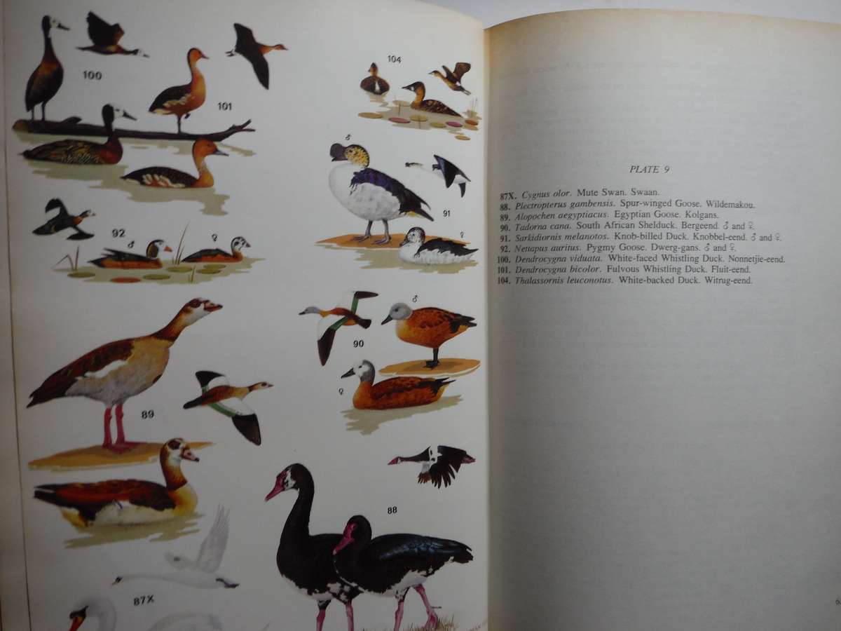 Roberts Birds of South Africa - Hardcover - 1978 Edition