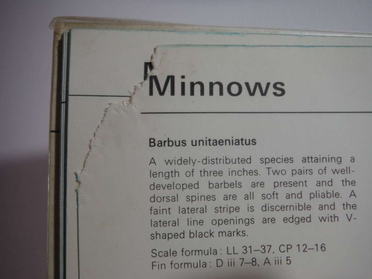 Fishes of the Transvaal - Hardcover - Pieter Le Roux - 1968