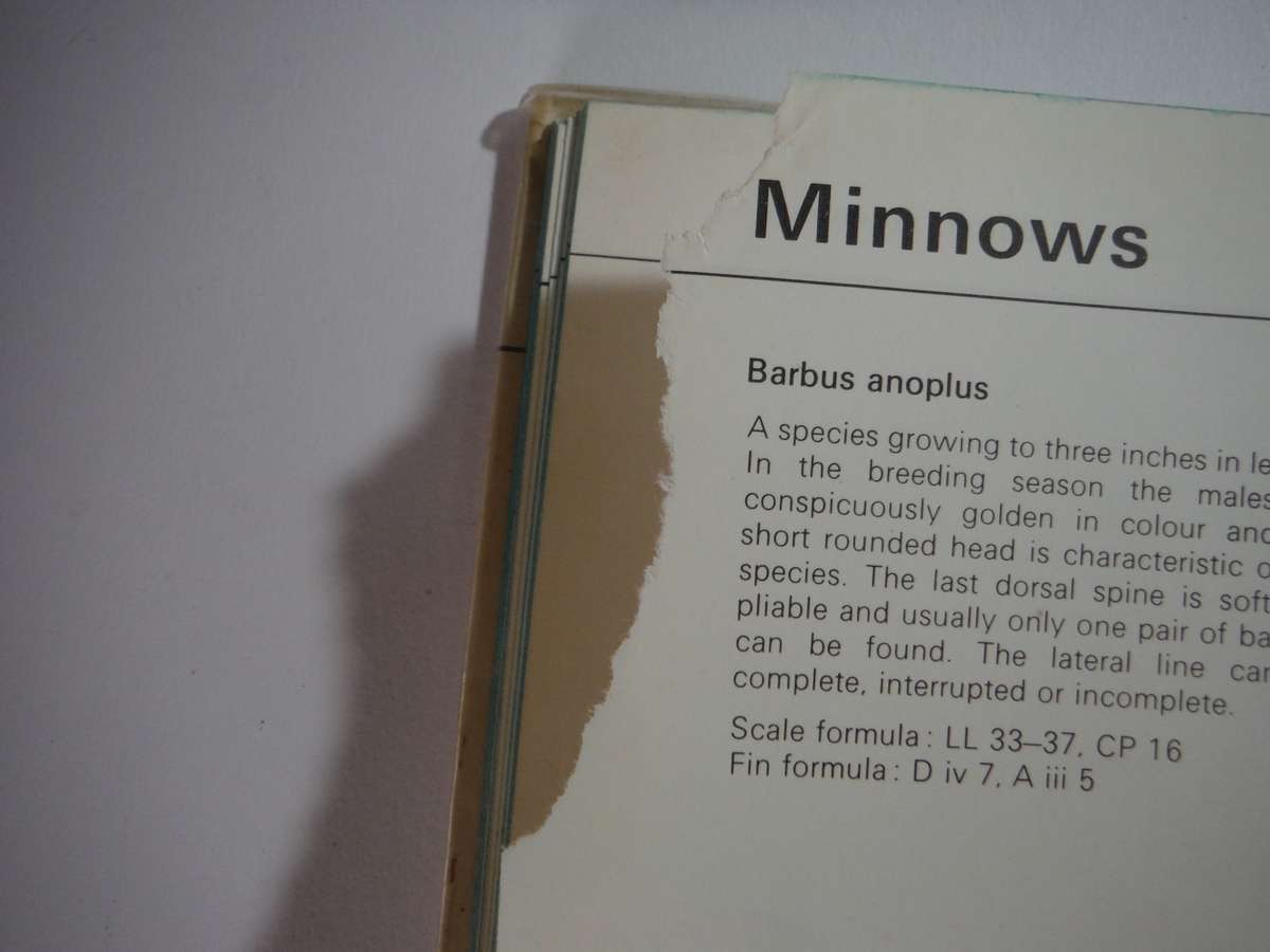 Fishes of the Transvaal - Hardcover - Pieter Le Roux - 1968