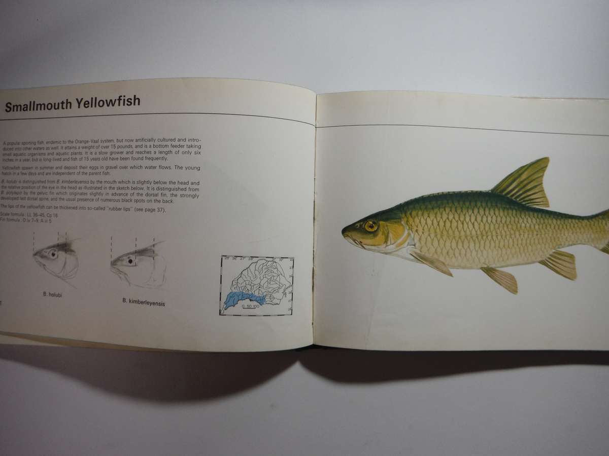 Fishes of the Transvaal - Hardcover - Pieter Le Roux - 1968