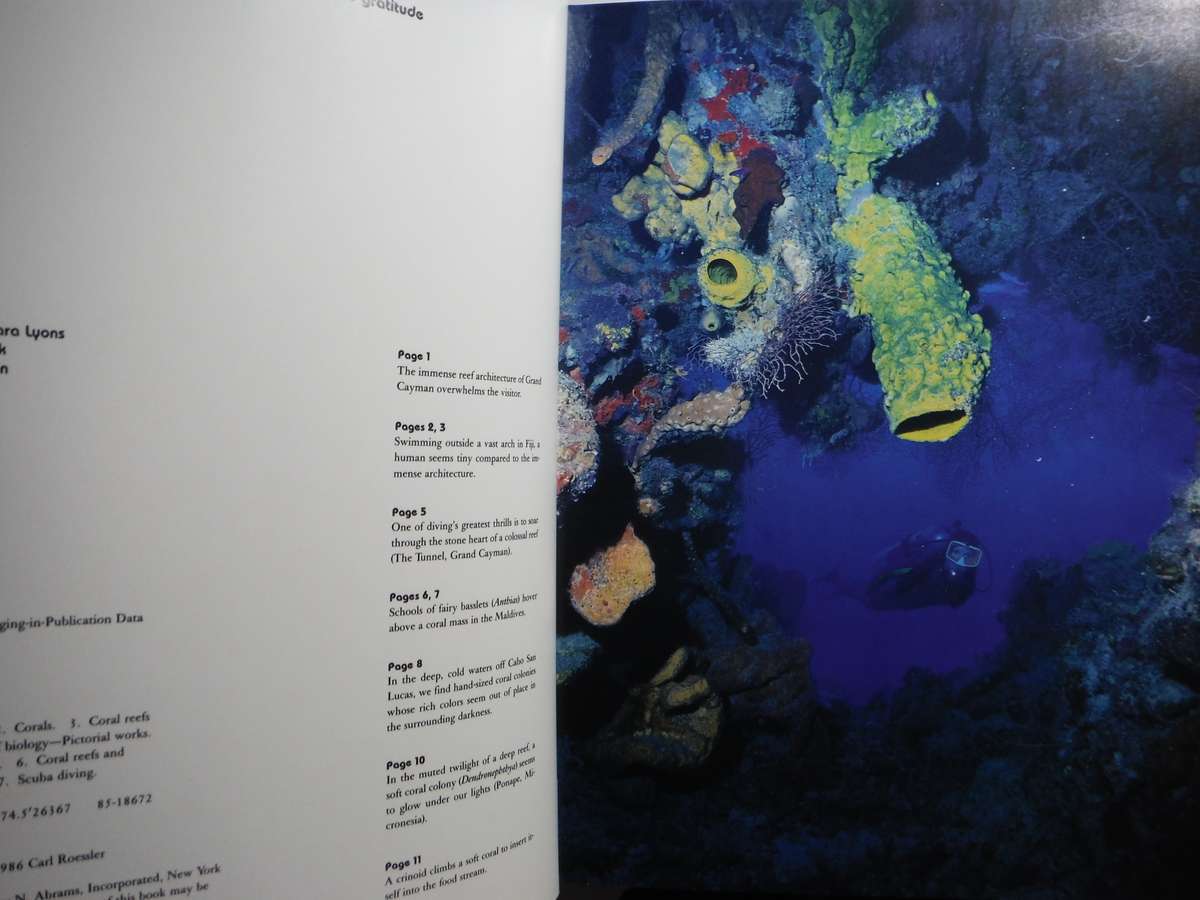 Coral Kingdoms - Hardcover - Carl Roessler