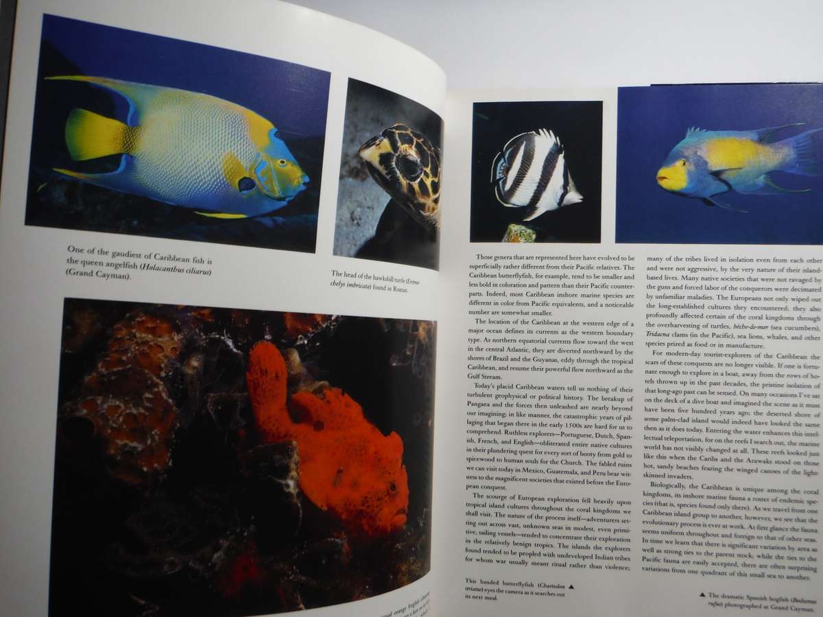 Coral Kingdoms - Hardcover - Carl Roessler