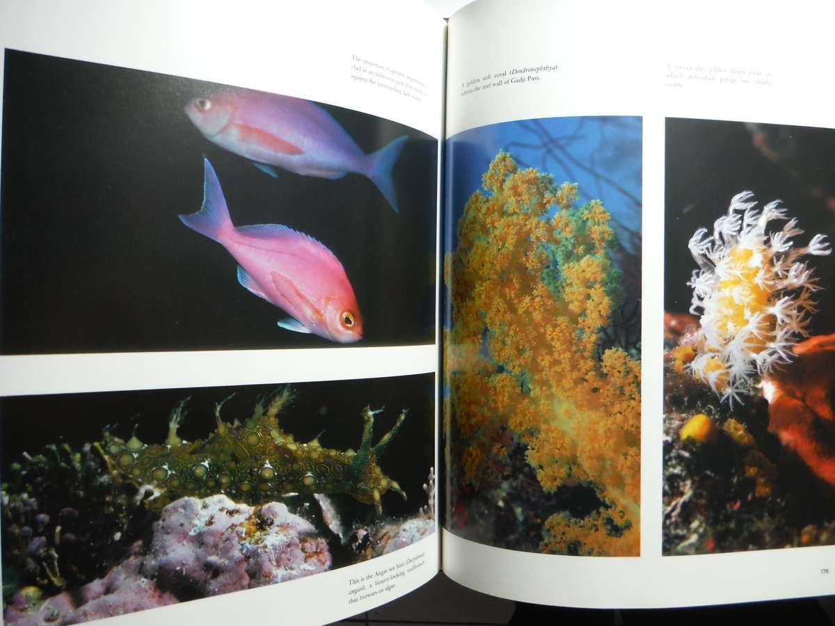 Coral Kingdoms - Hardcover - Carl Roessler