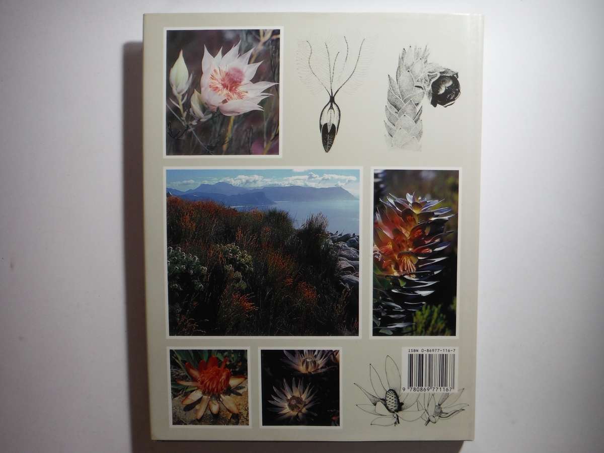 South Africa's Proteaceae : Know Them and Grow Them - Hardcover - Marie Vogts