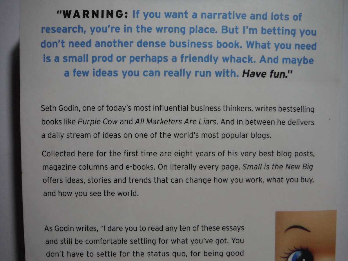Small is the New Big and 183 Other Riffs, Rants and Remarkable Business Ideas - Seth Godin